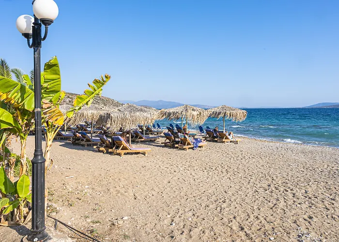 Anesis Drepano (Argolis)